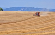 Réduire les émissions d'ammoniac dans l'agriculture