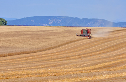 Réduire les émissions d'ammoniac dans l'agriculture