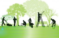 Green gym :  un concept britannique à importer !