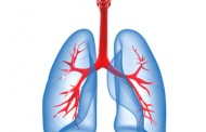 Pathologies pulmonaires causées par l'amiante