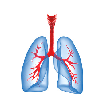 Pathologies pulmonaires causées par l'amiante