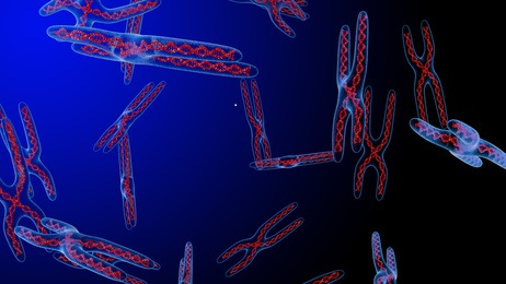 Sécurité biologique : bases légales et ressources