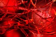 Dépistage et prévention du risque cardiovasculaire en 2019